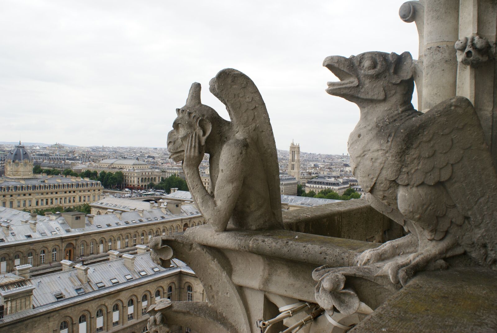 Sony Alpha DSLR-A100 sample photo. Notre dame de paris photography