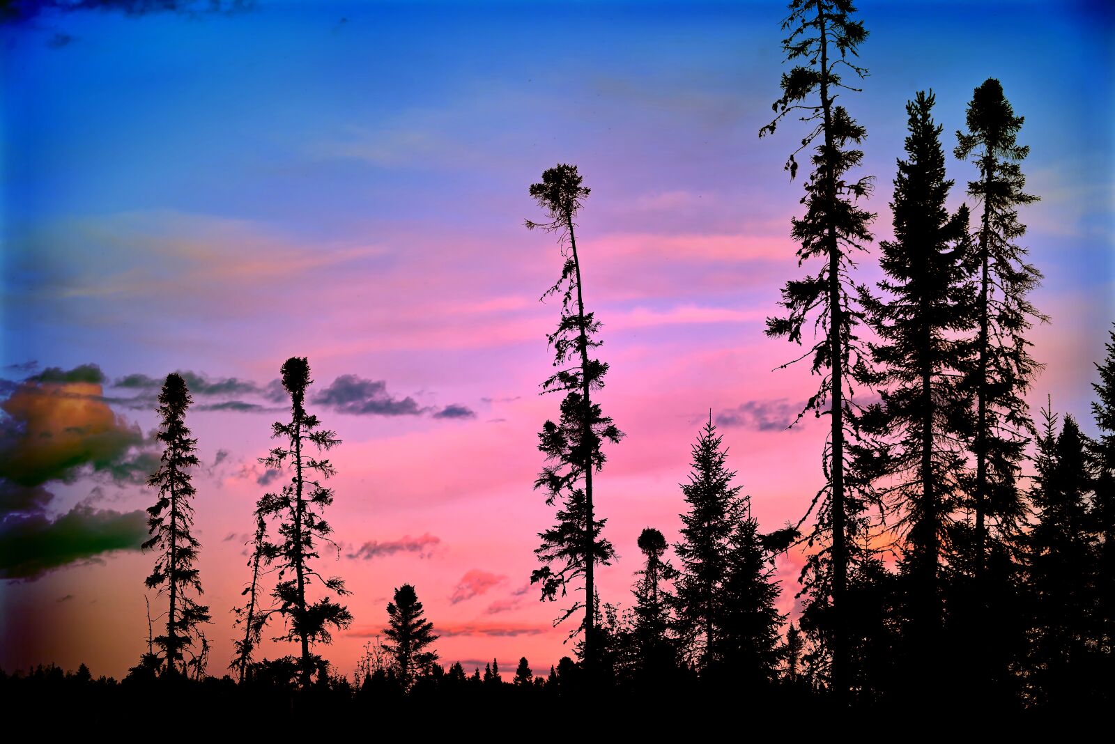 Nikon D610 sample photo. Landscape, colors, trees photography