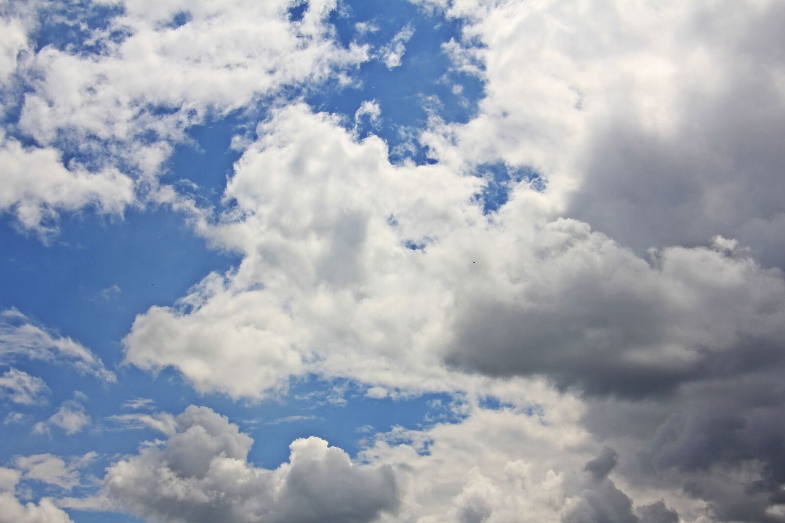 Canon EOS 550D (EOS Rebel T2i / EOS Kiss X4) sample photo. Clouds, sky, blue photography