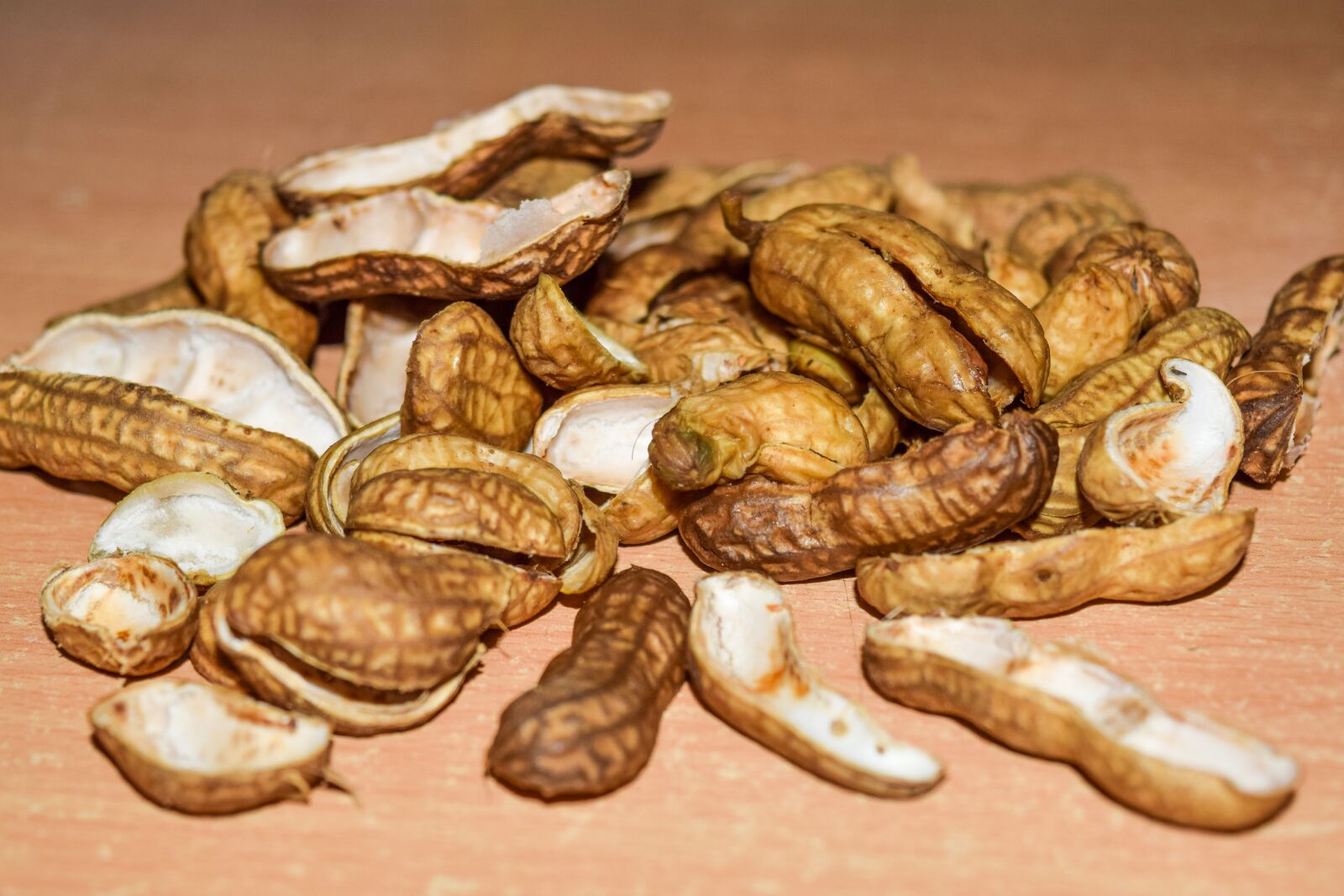Nikon D5300 sample photo. Peanuts, nutshells, nuts photography