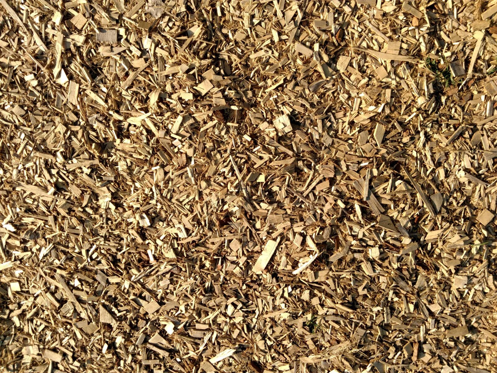 Lenovo S60-A sample photo. Compost, dry, texture, pattern photography