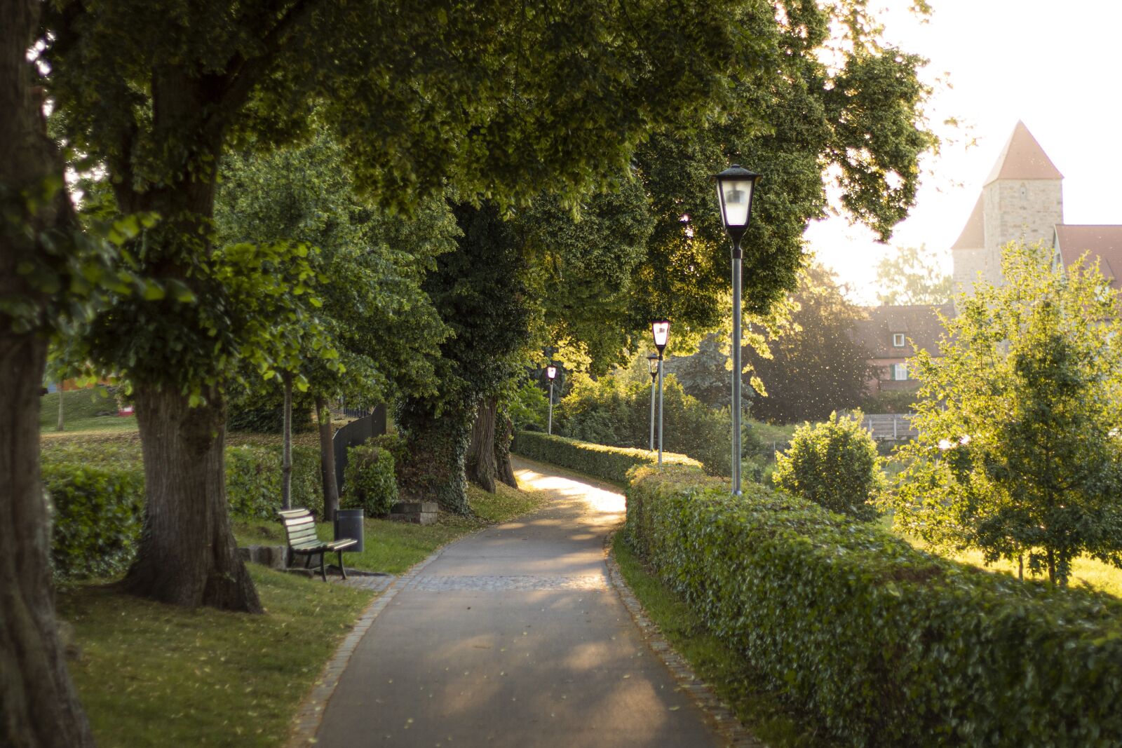 Canon EF 50mm F1.8 II sample photo. Away, summer, park photography