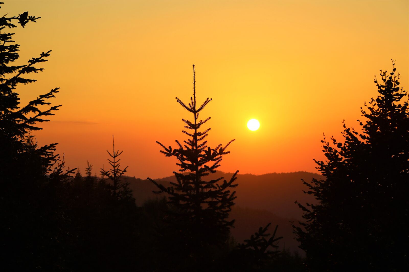 Canon EF 24-105mm F4L IS USM sample photo. Sunset, in the evening photography