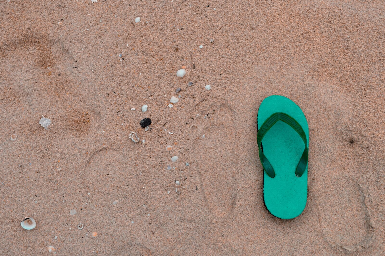 Nikon D5000 sample photo. Beach, sand, slipper photography