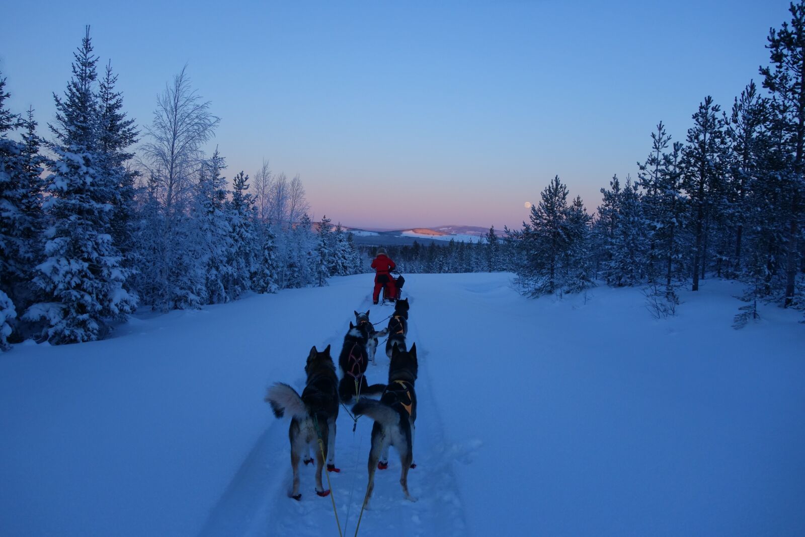 Sony Cyber-shot DSC-RX100 sample photo. Lapland, snow, nature photography