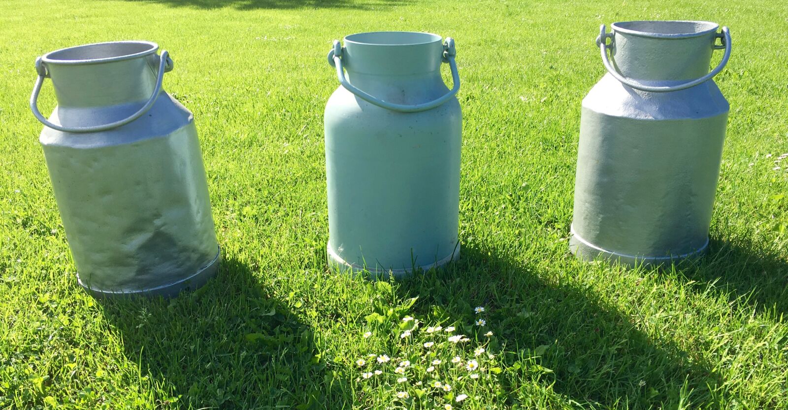 Apple iPhone 6s sample photo. Milk can, farm, milk photography