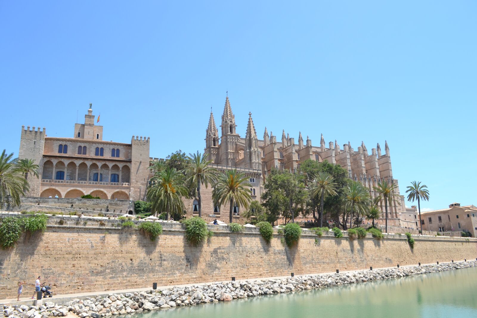 Nikon D3100 sample photo. Palma, majorca, cathedral photography