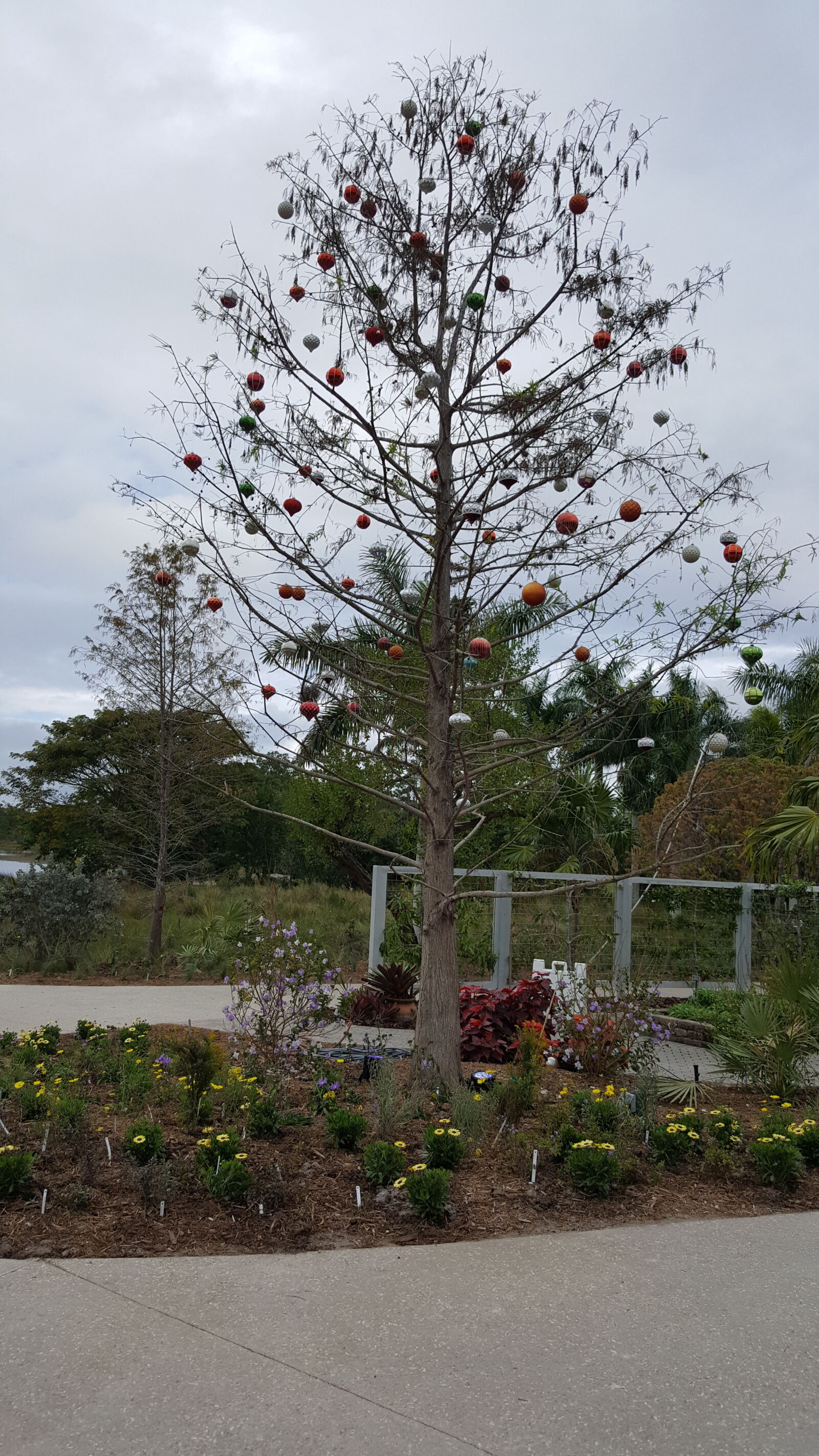 Samsung GALAXY S6 edge sample photo. Botanical, gardens photography
