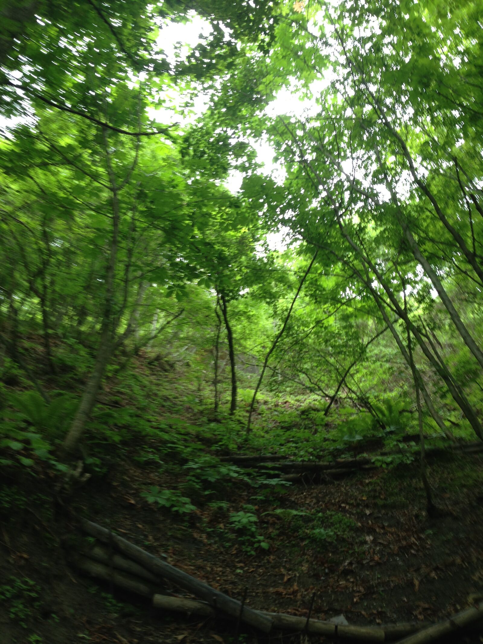 Apple iPhone 5 sample photo. Bungui pass, power spot photography