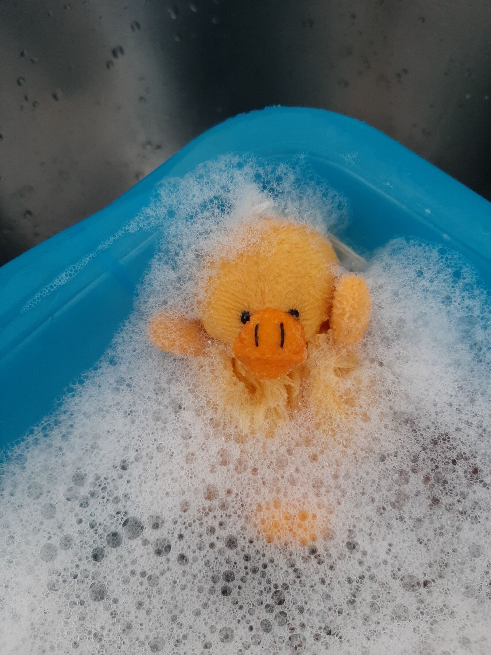 Samsung Galaxy A50 sample photo. Duck, duckling, fluffy photography