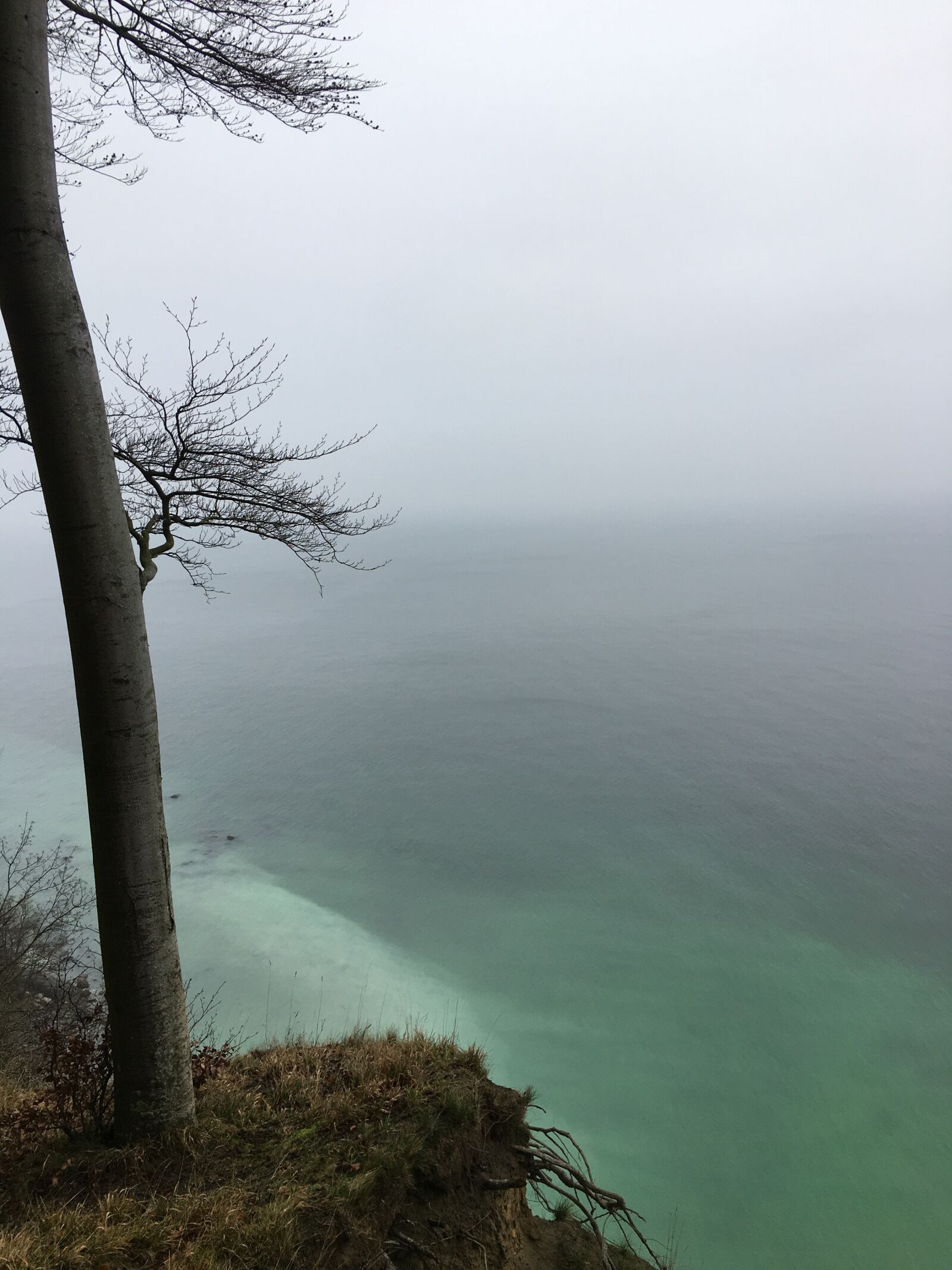 Apple iPhone 6s sample photo. Baltic sea, r gen photography
