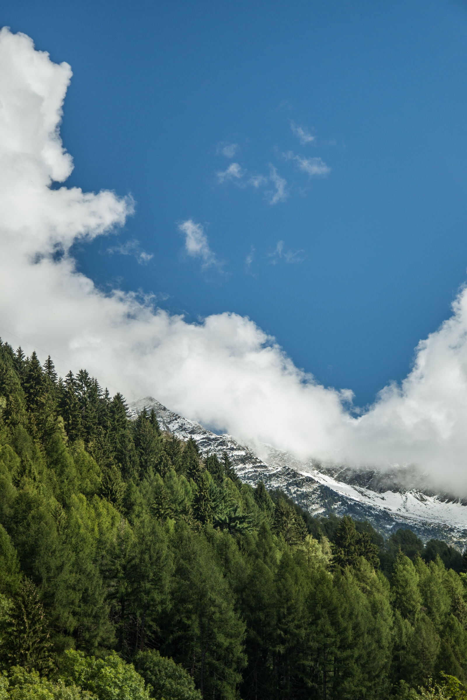 Nikon D600 sample photo. Alpes, clouds, cold, flora photography