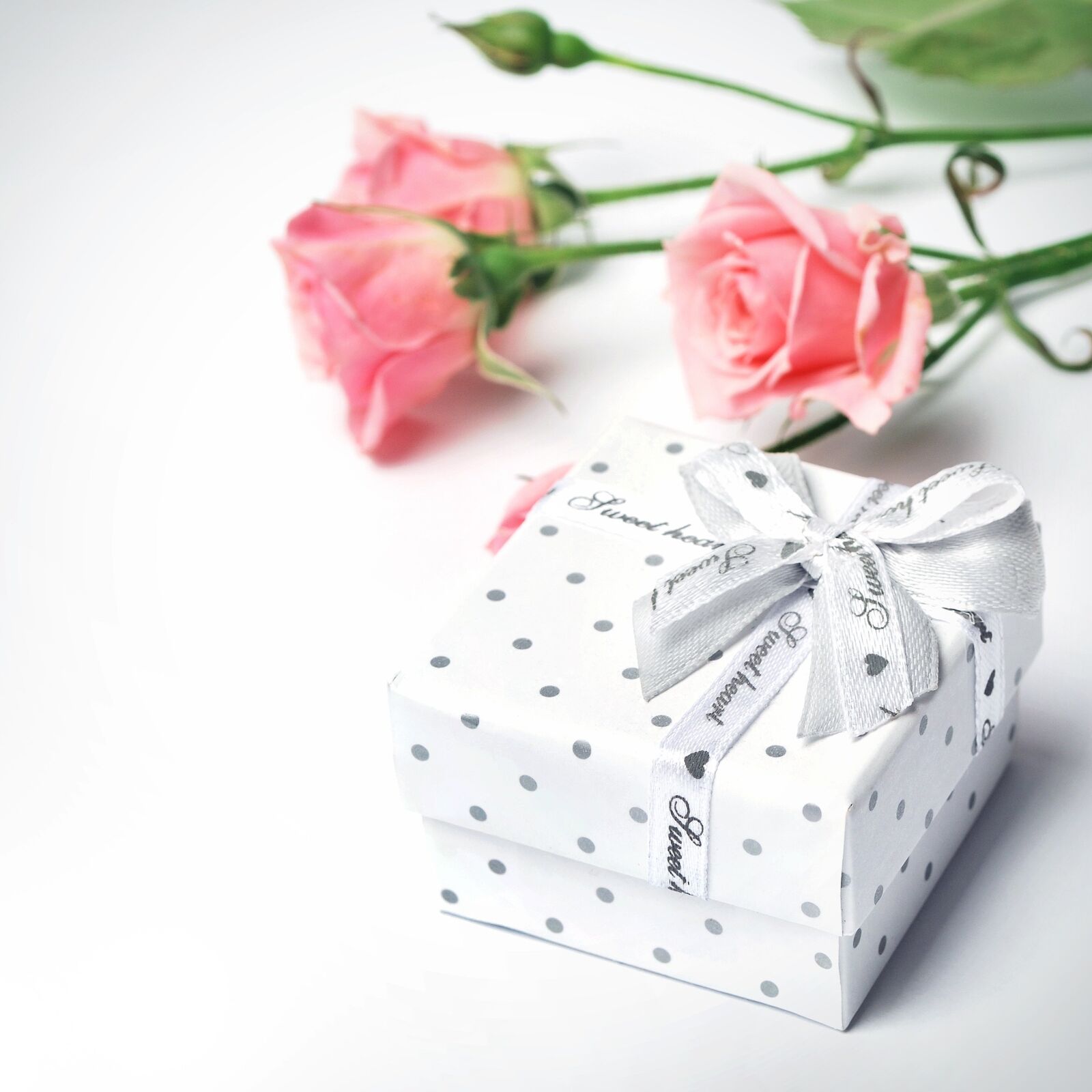 Nikon D60 sample photo. Gift, flowers, roses photography