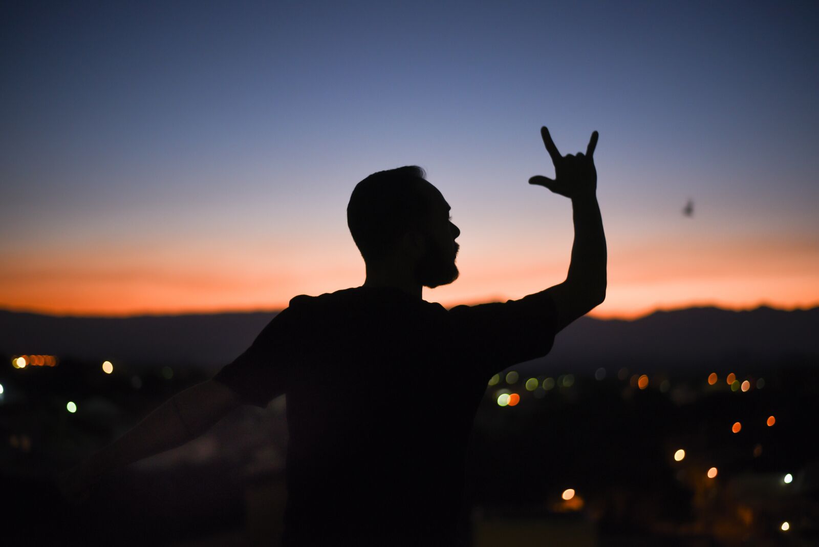 Nikon D750 sample photo. Peace, sunset, summer photography