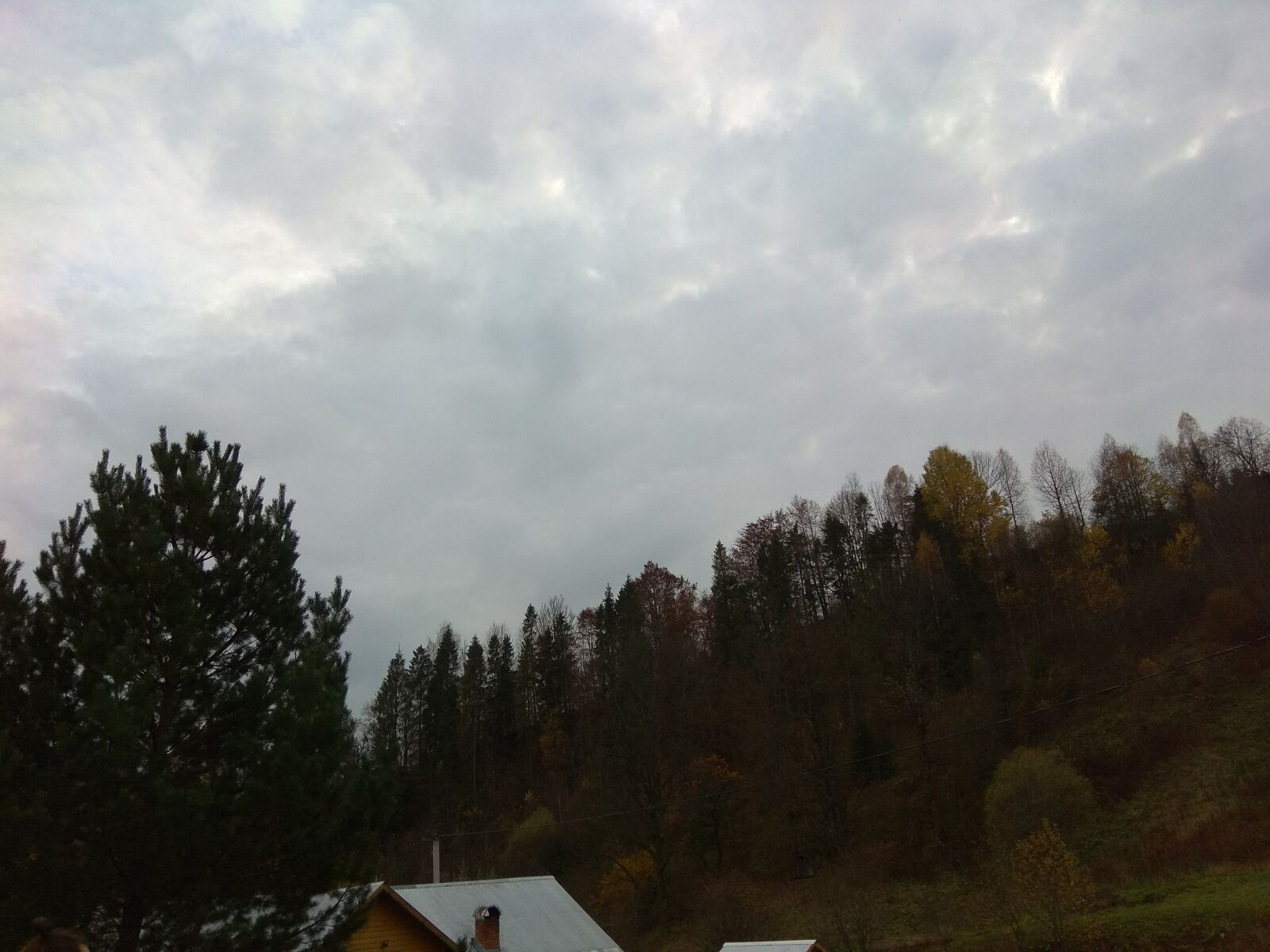 Xiaomi Redmi Note 4 sample photo. Nature photography