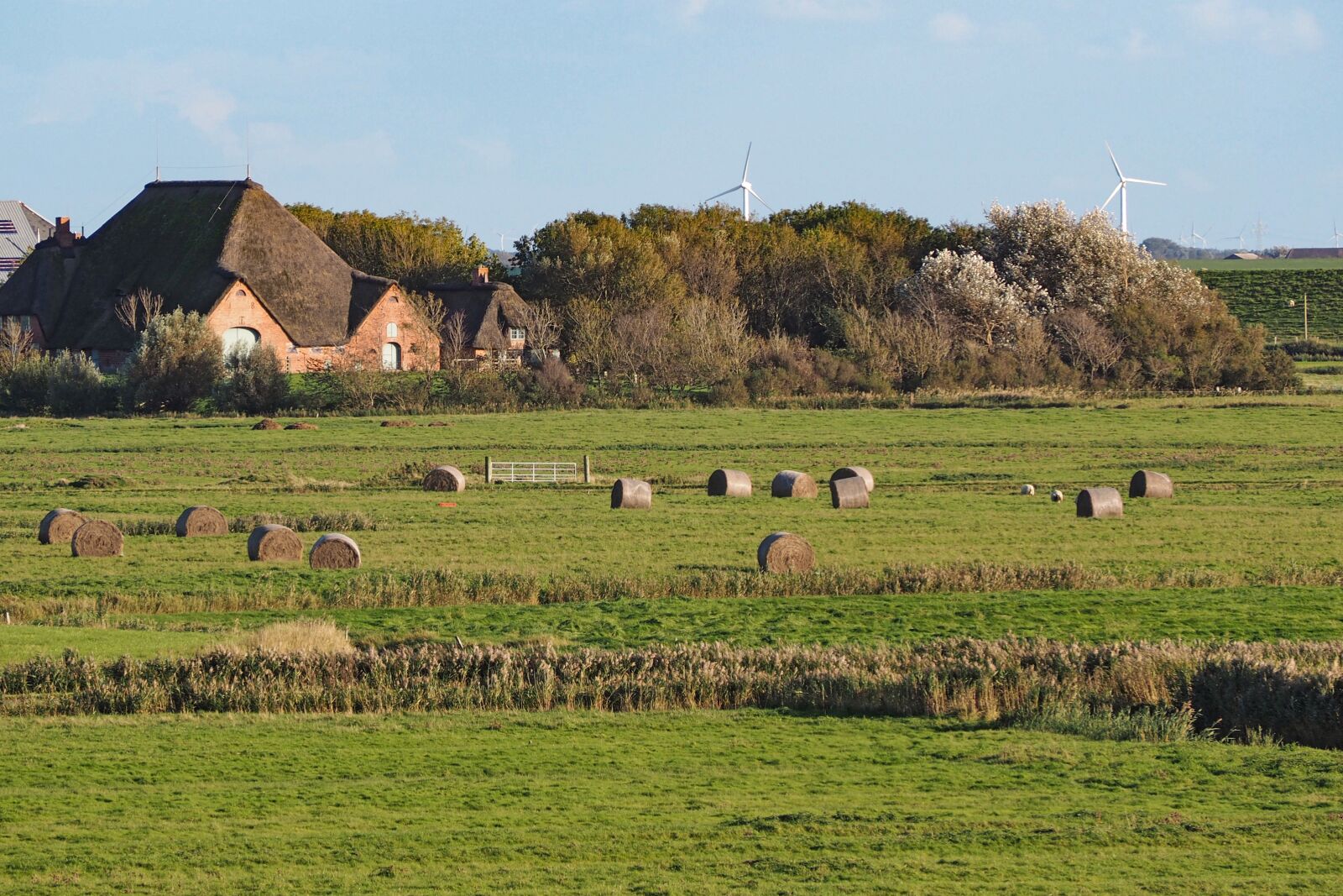 Olympus OM-D E-M10 sample photo. Haubarg, thatched roof, nordfriesland photography