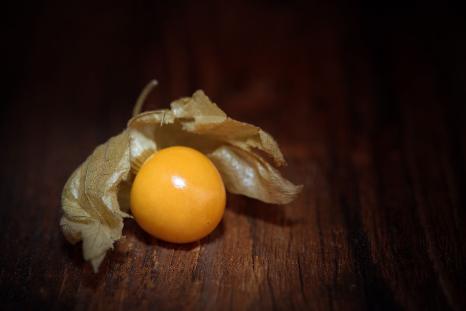 Nikon D750 sample photo. Physalis, physalis peruviana, cape photography