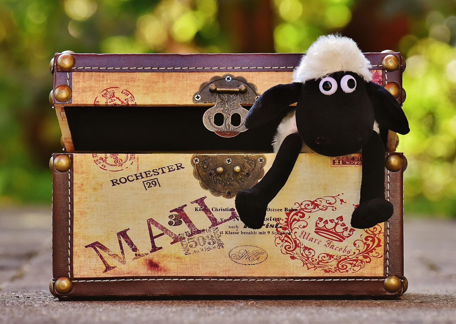 Nikon D7200 sample photo. Sheep, chest, box photography