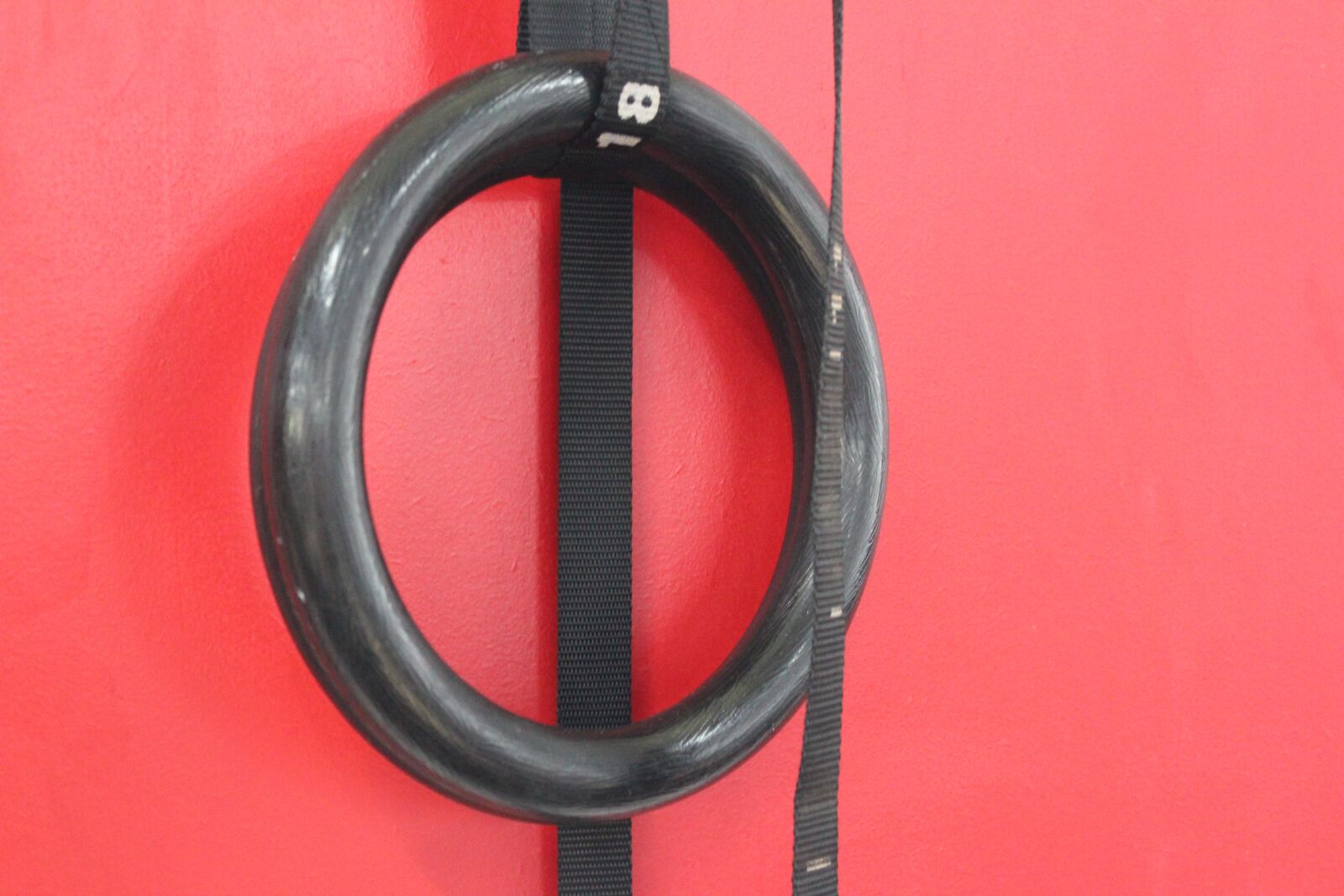 Canon EOS 600D (Rebel EOS T3i / EOS Kiss X5) sample photo. Gymnastic rings, rings, gymnastics photography