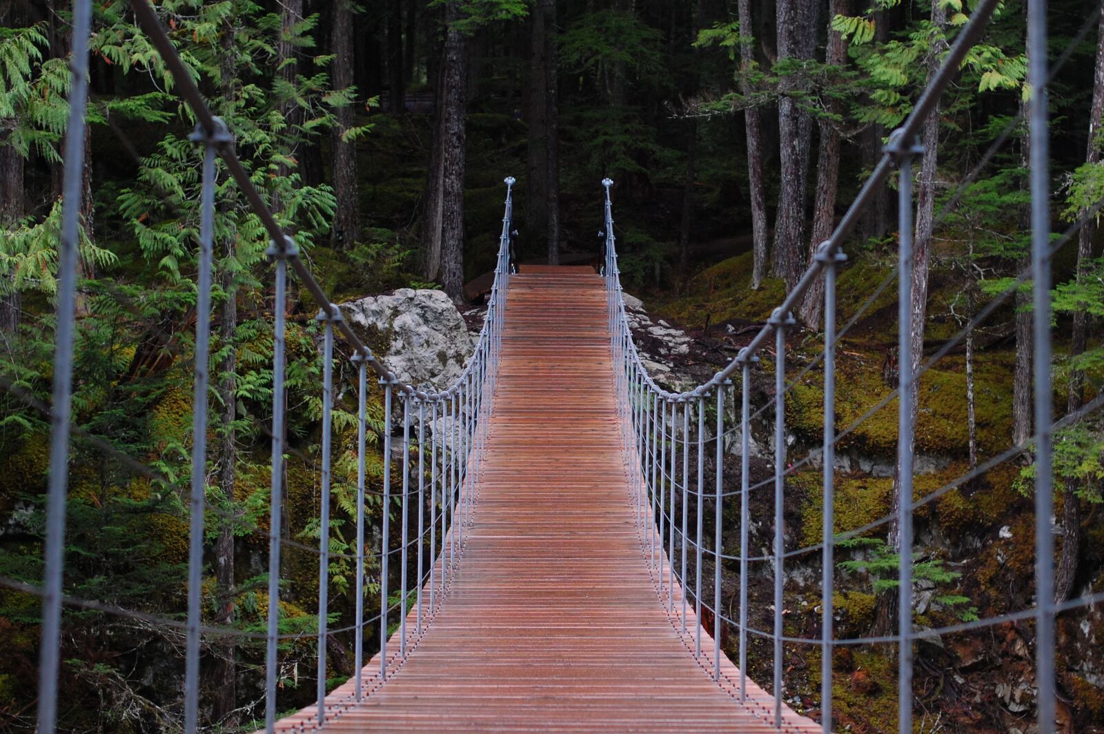 Nikon D40 sample photo. Bridge, hike, cool photography