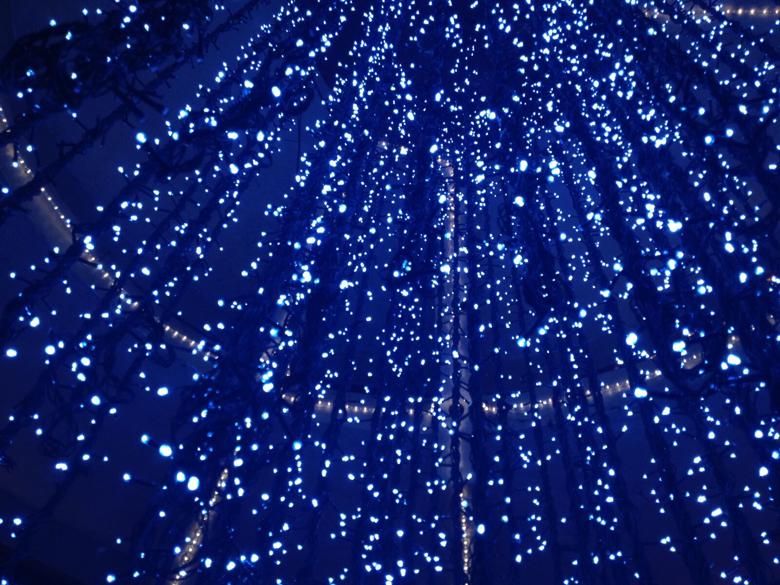 iPhone 4S back camera 4.28mm f/2.4 sample photo. Blue, lights, christmas photography