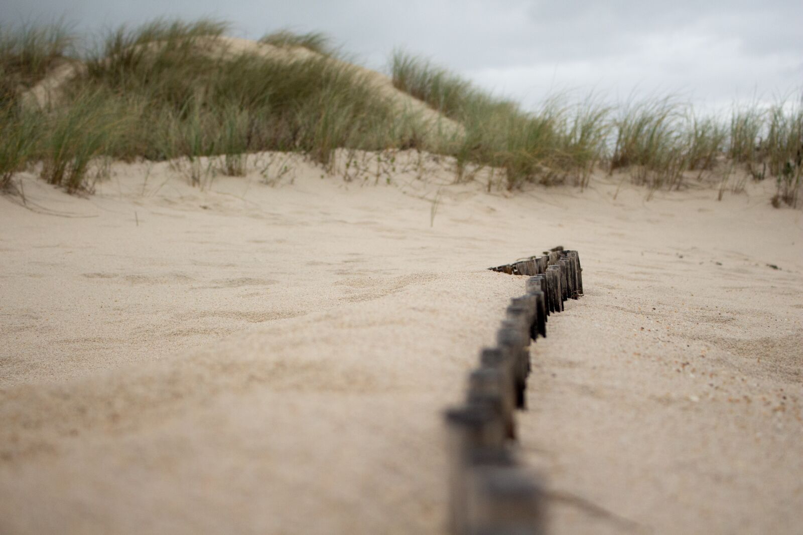 Canon EOS 700D (EOS Rebel T5i / EOS Kiss X7i) sample photo. Beach, aveiro, portugal photography