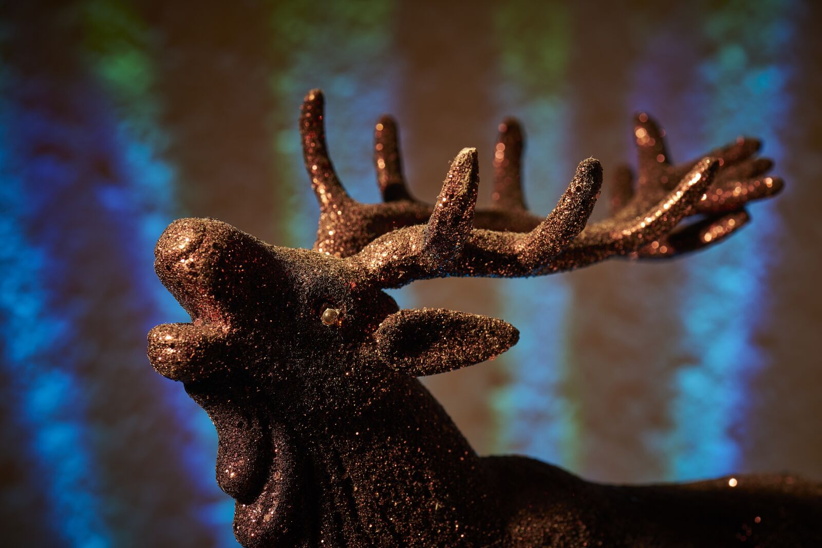 Nikon D810 sample photo. Christmas, winter, contemplative photography