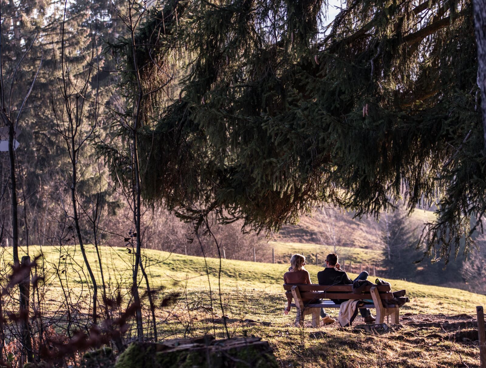 Canon EOS 7D Mark II sample photo. Autumn, allgäu, rest photography