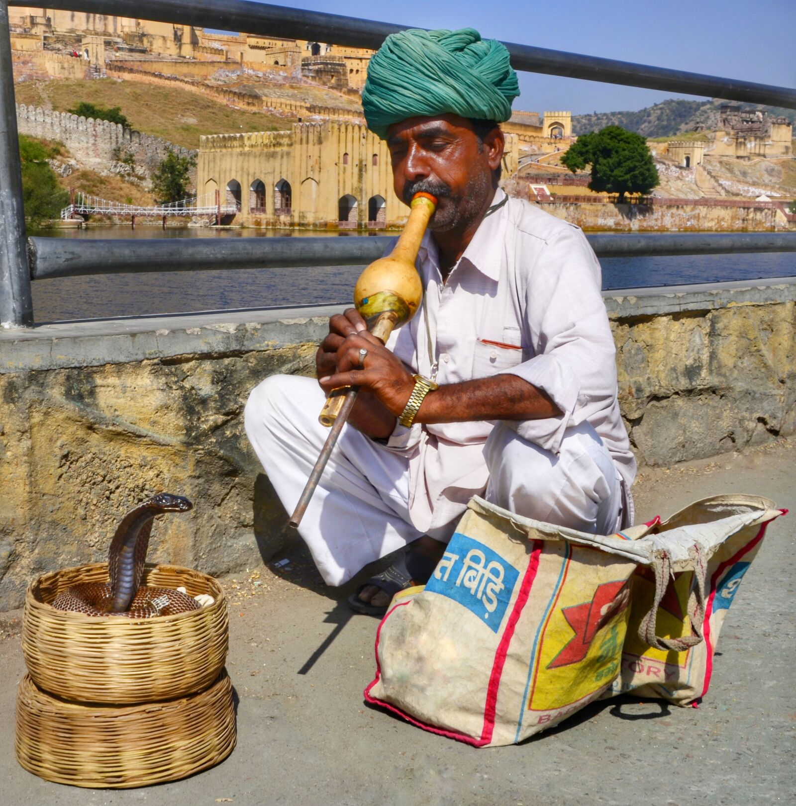 Nikon D5100 sample photo. Snake, charmer, amber fort photography