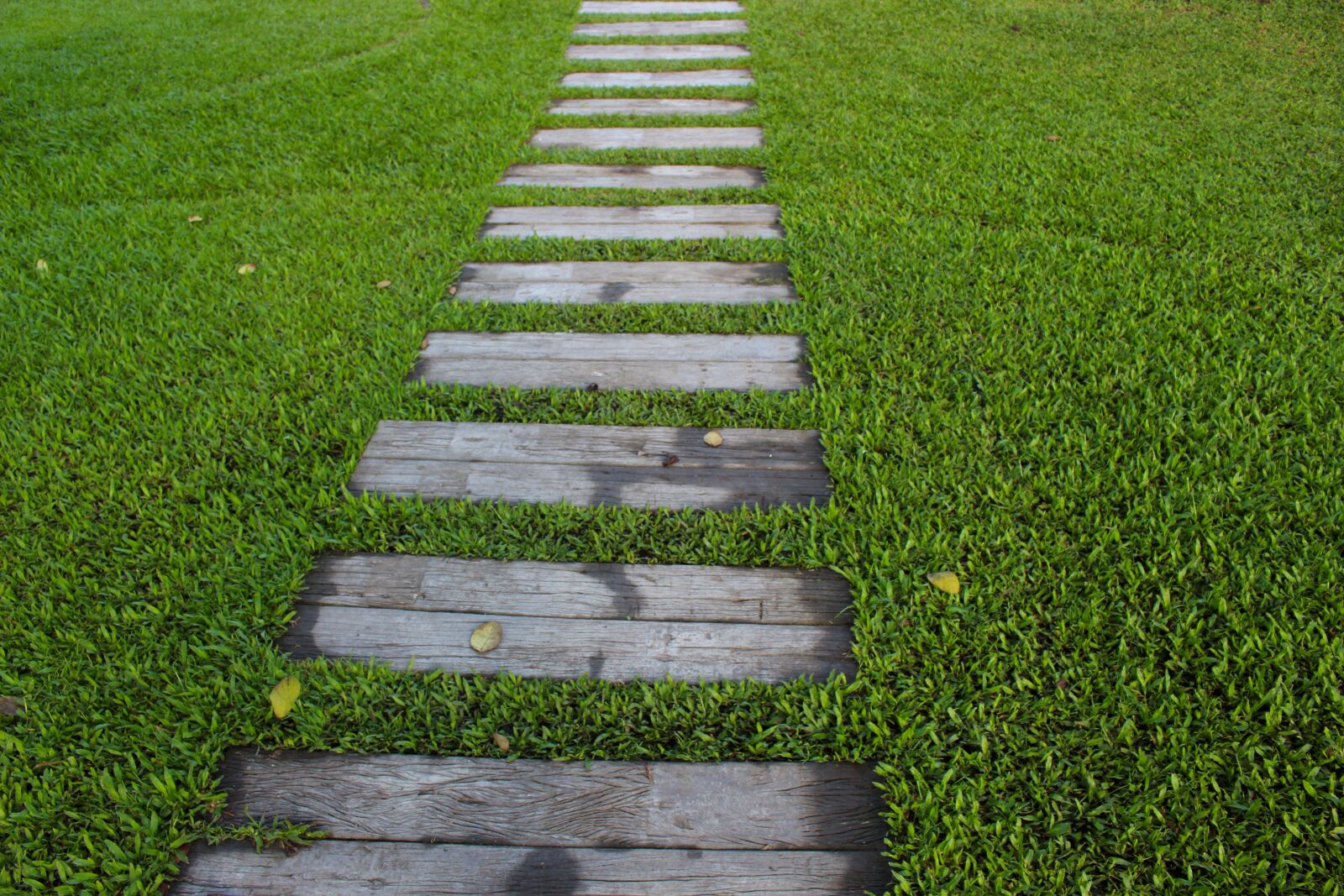 Canon EOS 700D (EOS Rebel T5i / EOS Kiss X7i) sample photo. Garden path, steps, garden photography