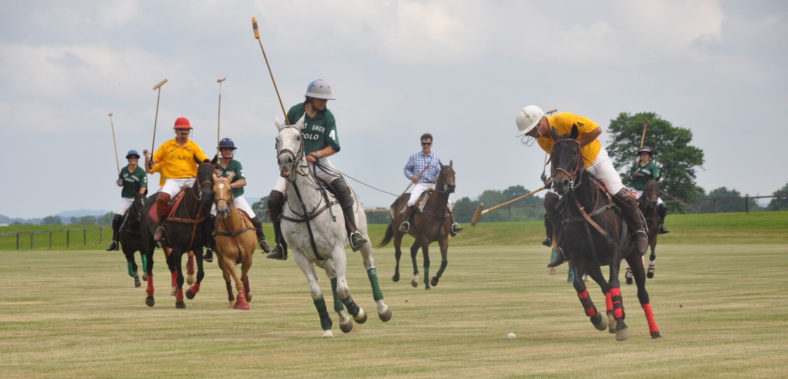 Nikon D90 sample photo. Polo, horses, riding photography