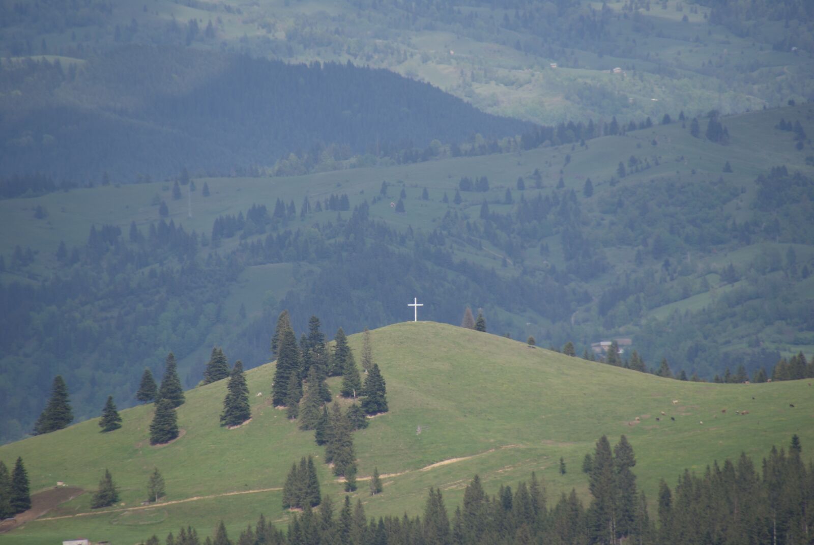 Sony Alpha DSLR-A200 sample photo. Mountain, trees, landscape photography