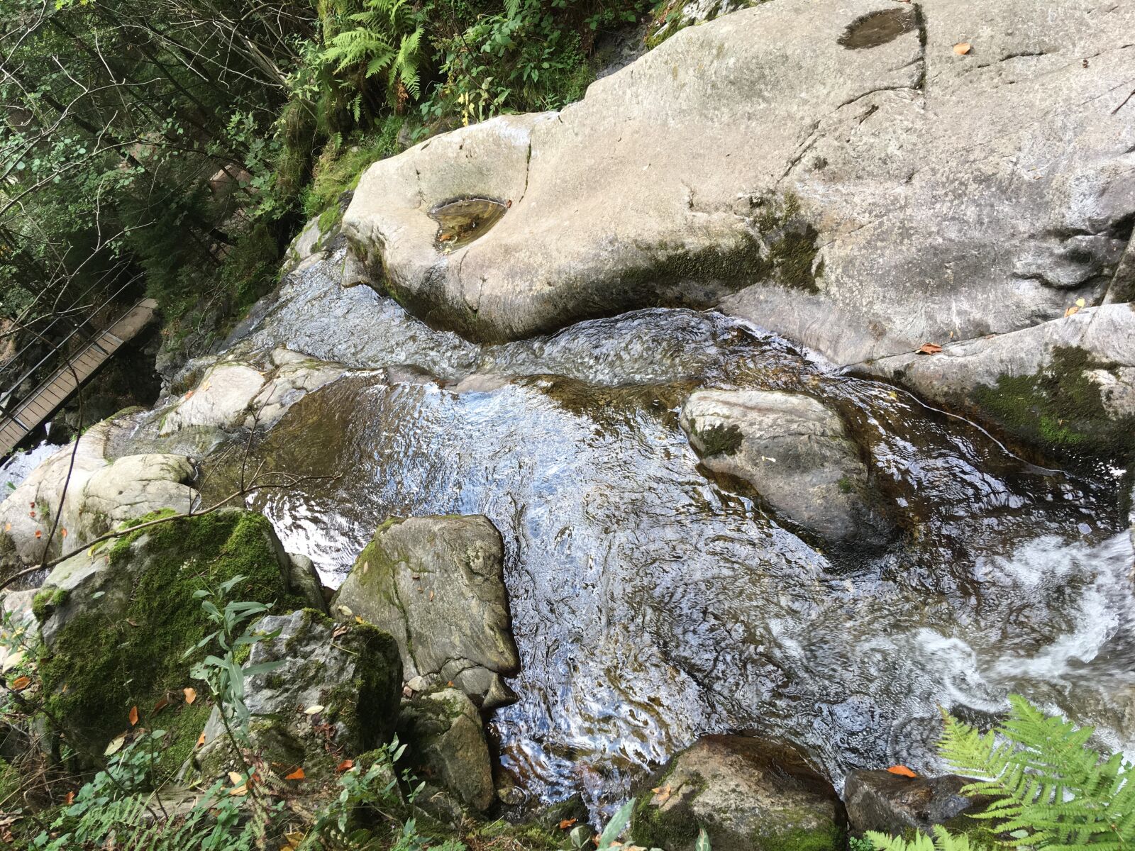 iPhone SE back camera 4.15mm f/2.2 sample photo. Black forest, nature, bridge photography