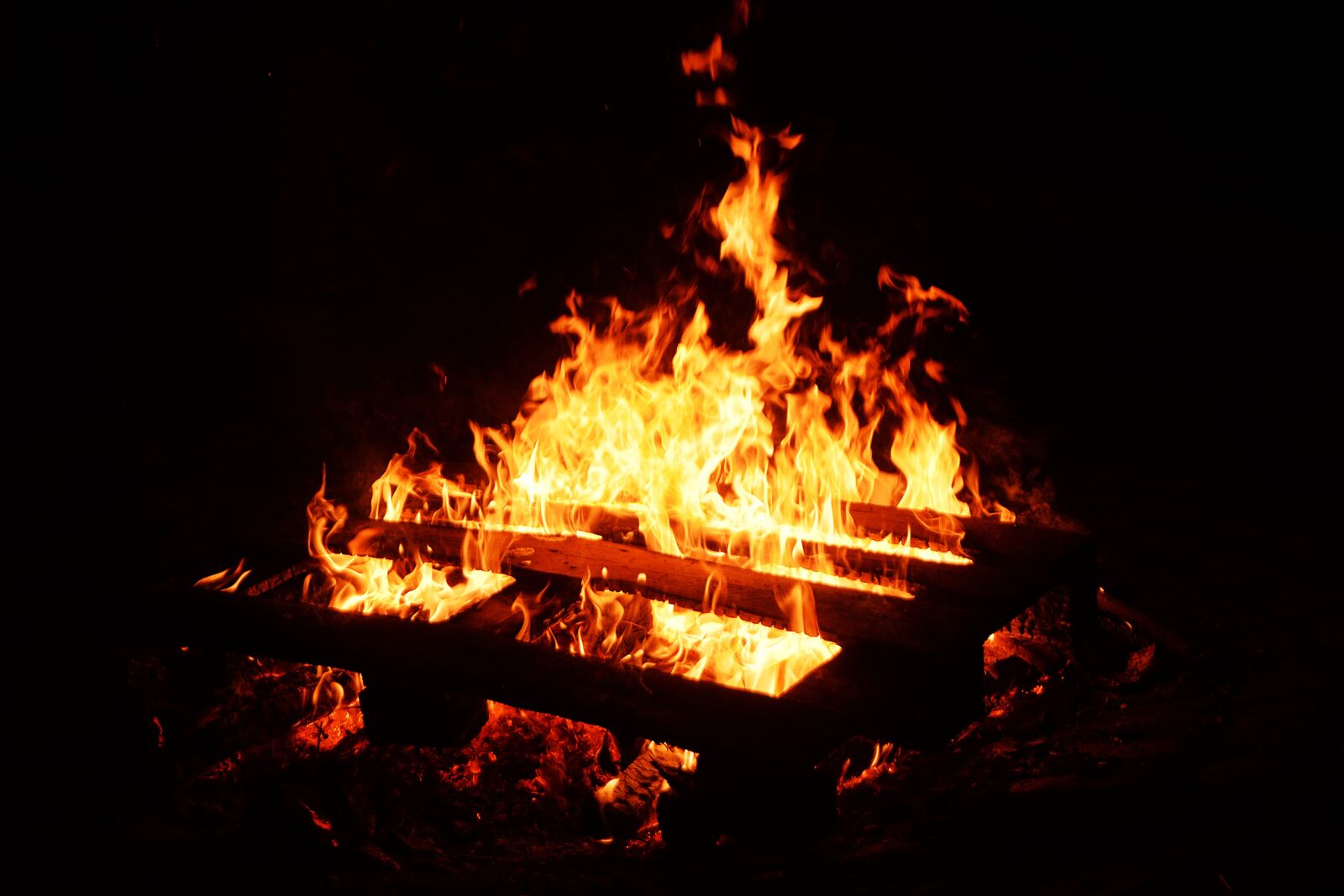 Nikon D610 sample photo. Bonfire, fire, night photography