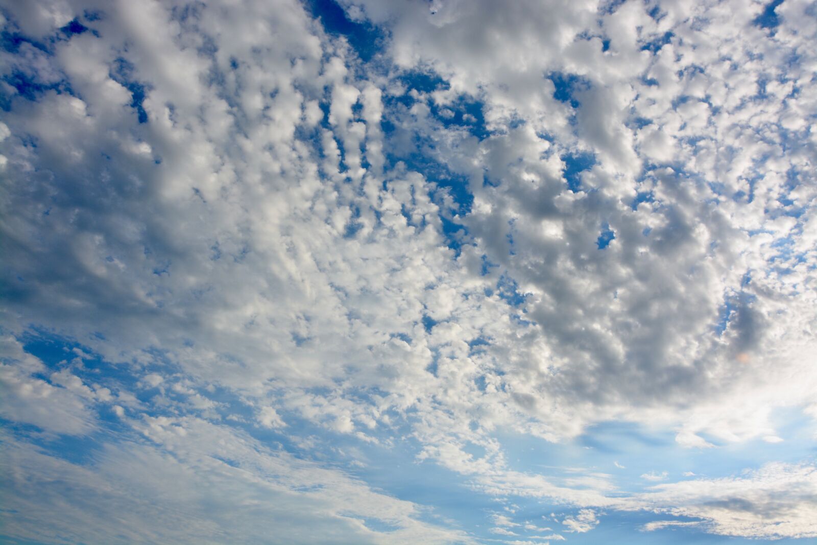 Nikon D5200 sample photo. Clouds, white clouds, cumulus photography