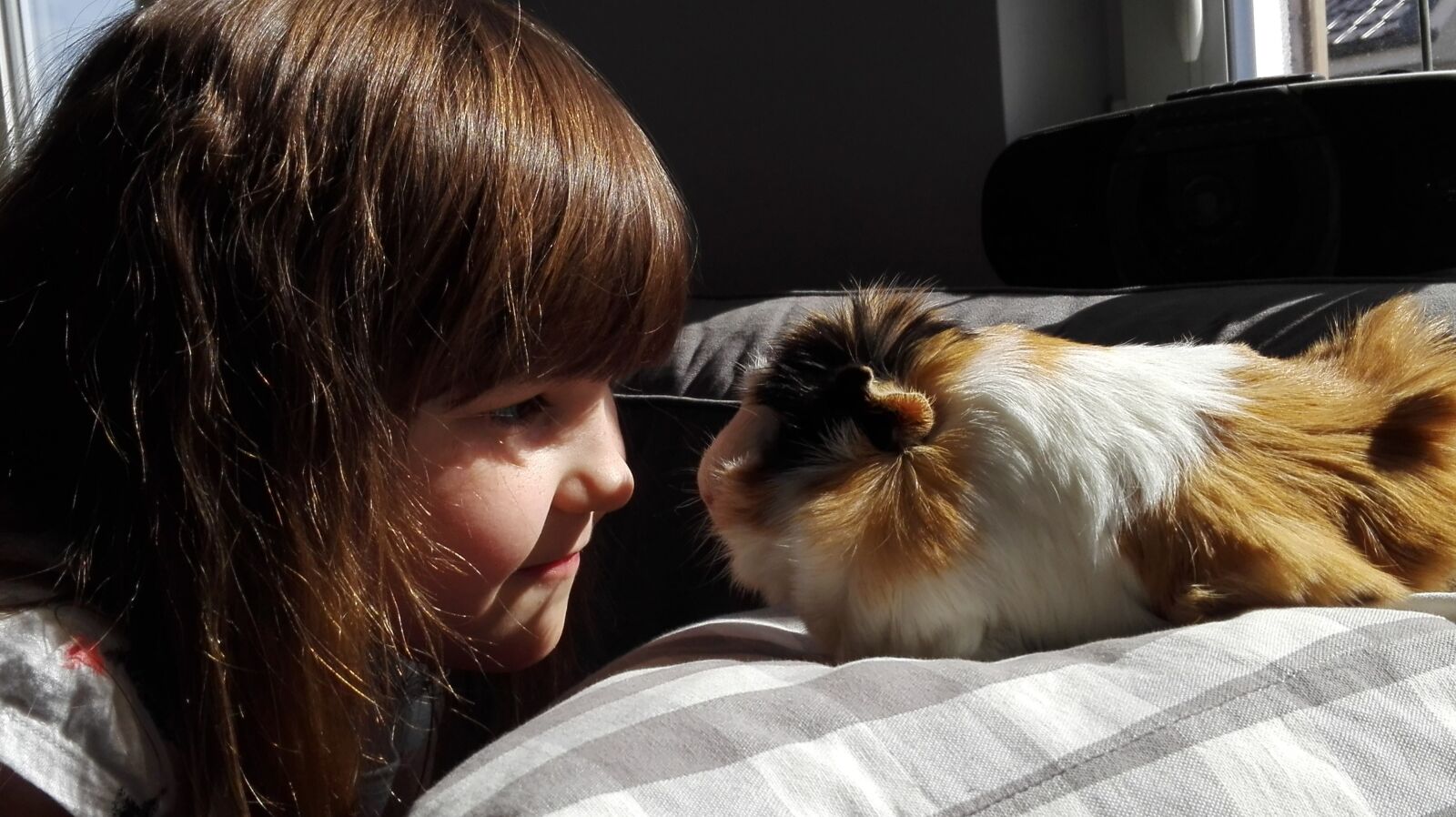 HUAWEI P8 Lite sample photo. Portrait, charming, one photography