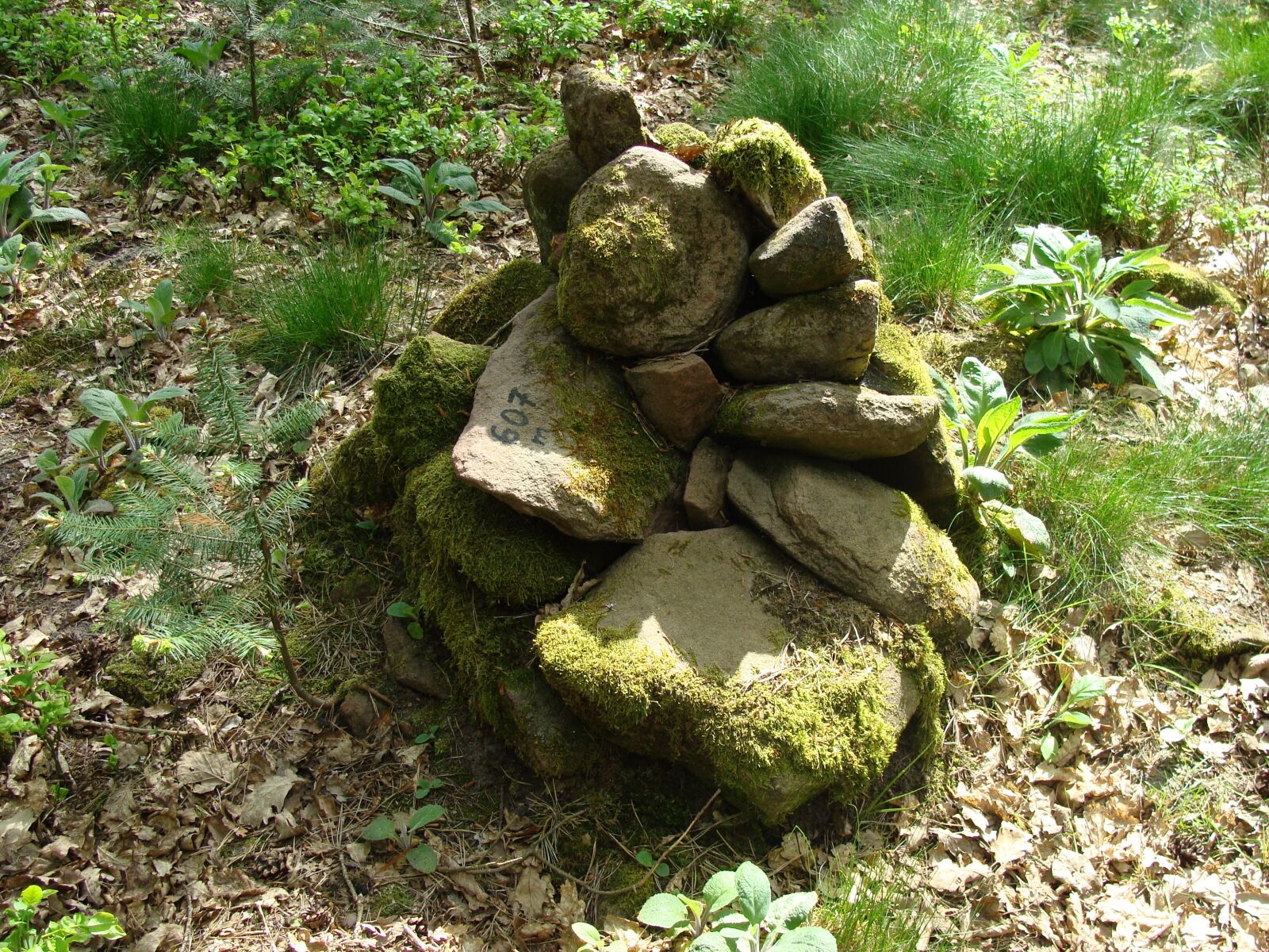 Sony Cyber-shot DSC-H10 sample photo. Rotsohlberg, palatine forest, summit photography