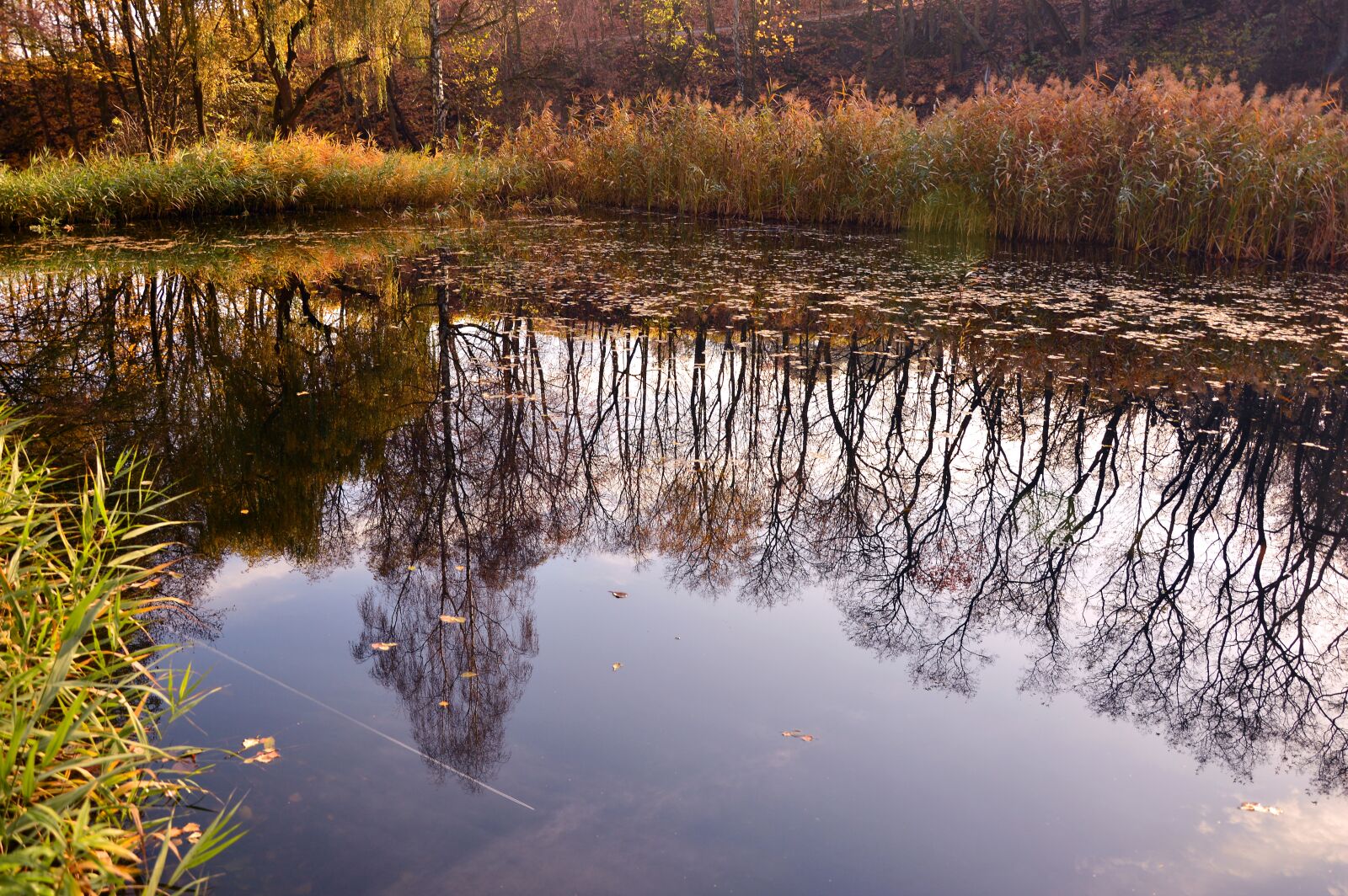 Nikon D3200 sample photo. Pond, water, mirroring photography