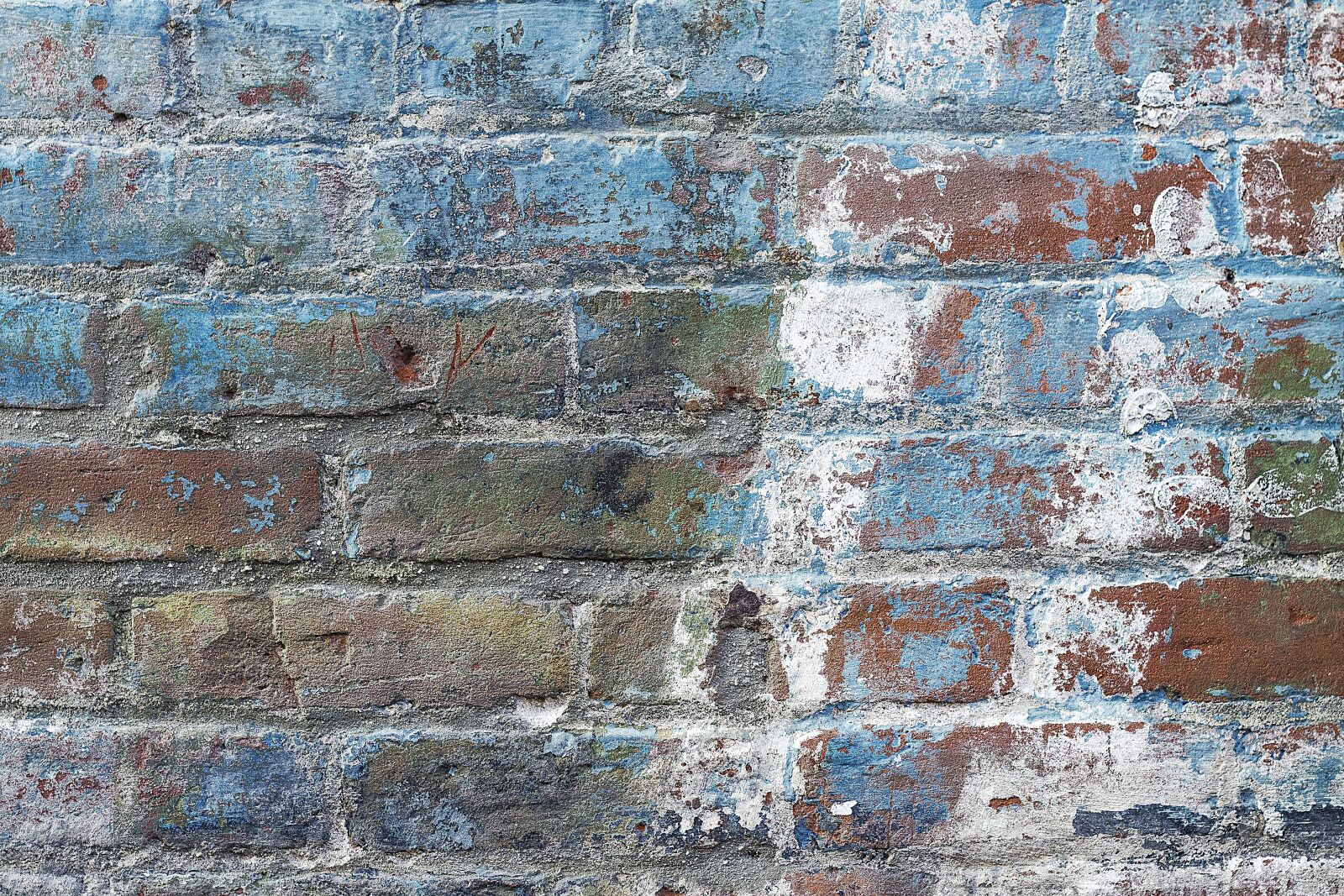 Canon EOS 1100D (EOS Rebel T3 / EOS Kiss X50) + Canon EF 50mm F1.8 II sample photo. Background, texture, wall photography