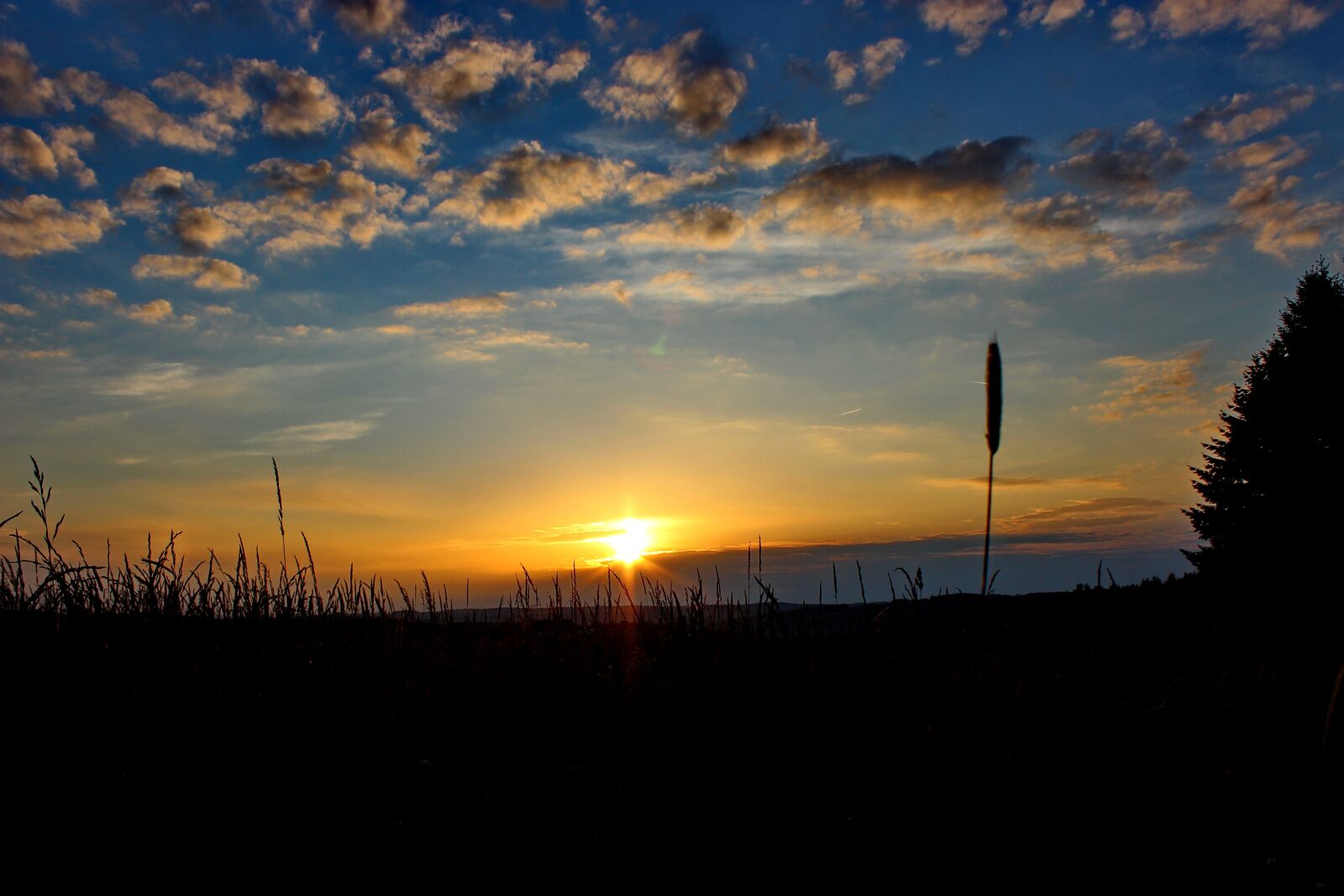 Canon EOS 600D (Rebel EOS T3i / EOS Kiss X5) sample photo. Morning, nature, sky photography