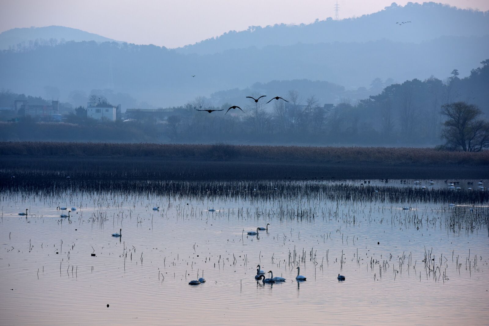 Nikon D810 sample photo. The main south reservoir photography