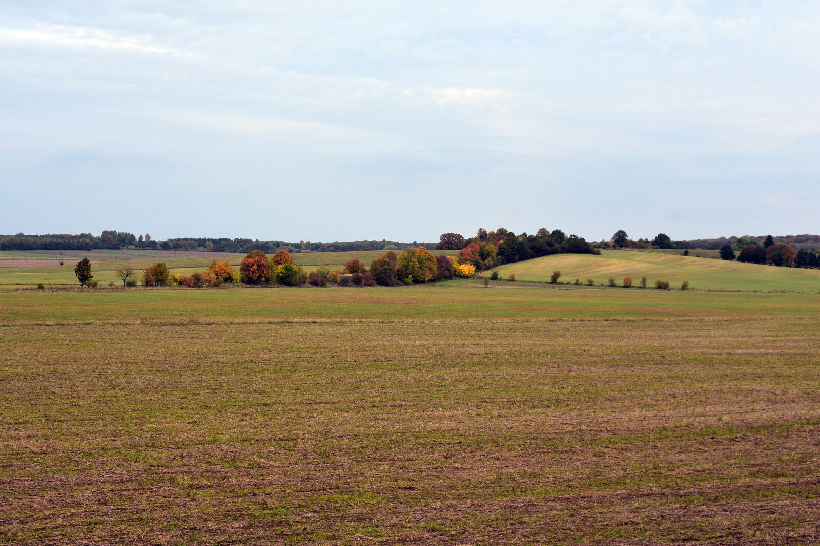 Nikon D3400 sample photo. Autumn, way, field photography