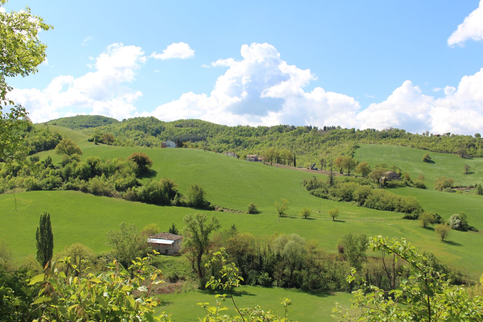 Canon EOS 700D (EOS Rebel T5i / EOS Kiss X7i) sample photo. Brands, italy, nature photography
