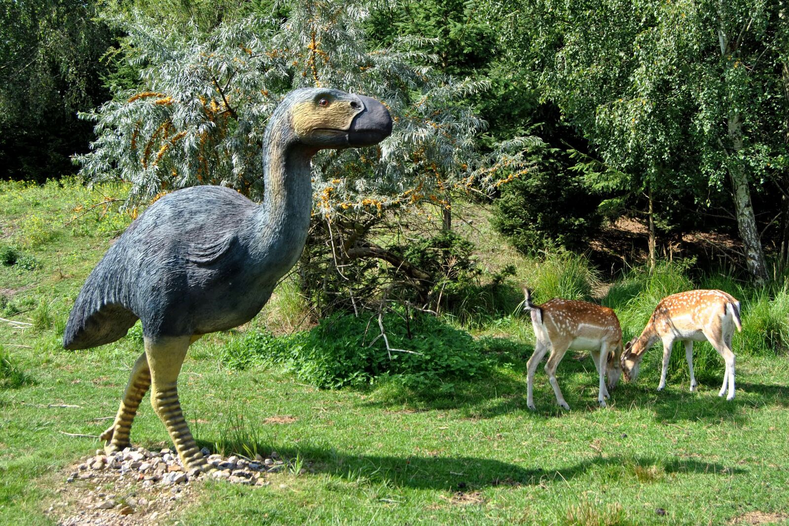 Nikon D3000 sample photo. Sculpture, animal sculpture, diatryma photography