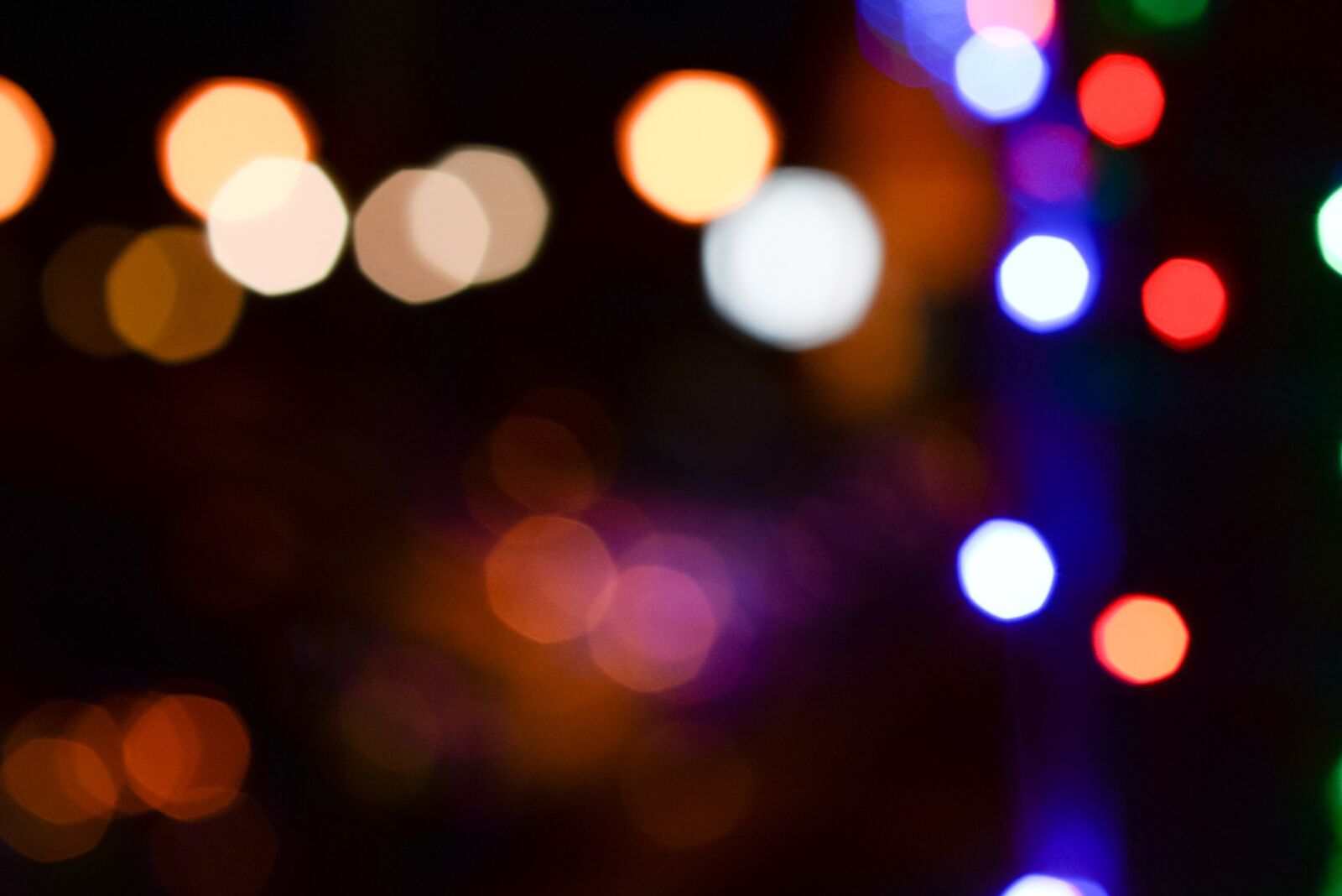 Nikon D610 sample photo. Light, bokeh, colors photography