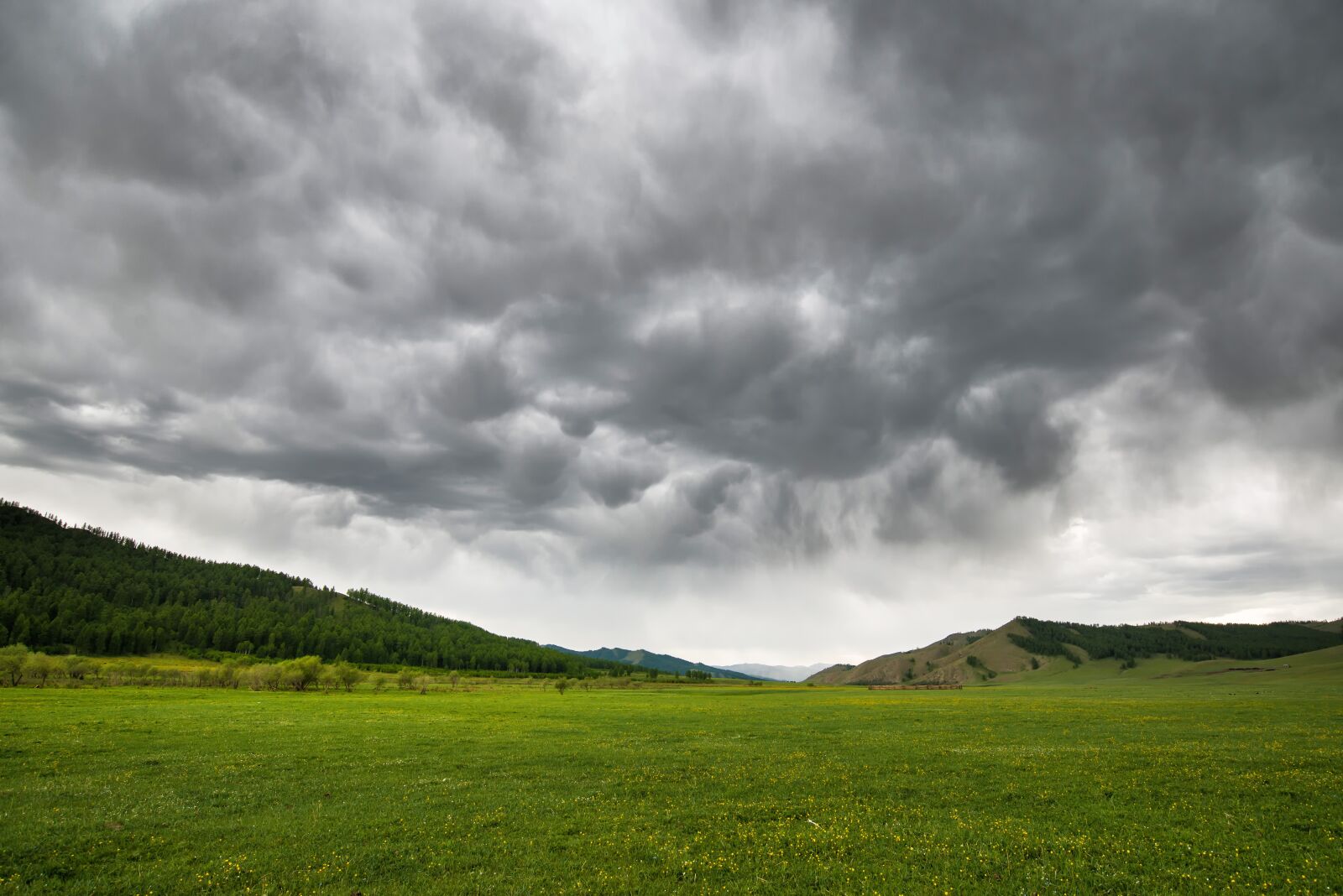 Nikon D800E sample photo. Green valley, the storm photography