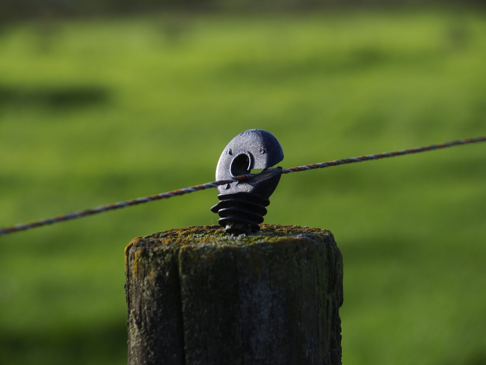 Olympus OM-D E-M10 II sample photo. Fence, material, electric fence photography