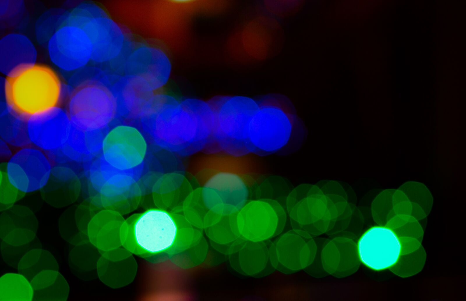 Nikon D610 sample photo. Light, bokeh, colors photography