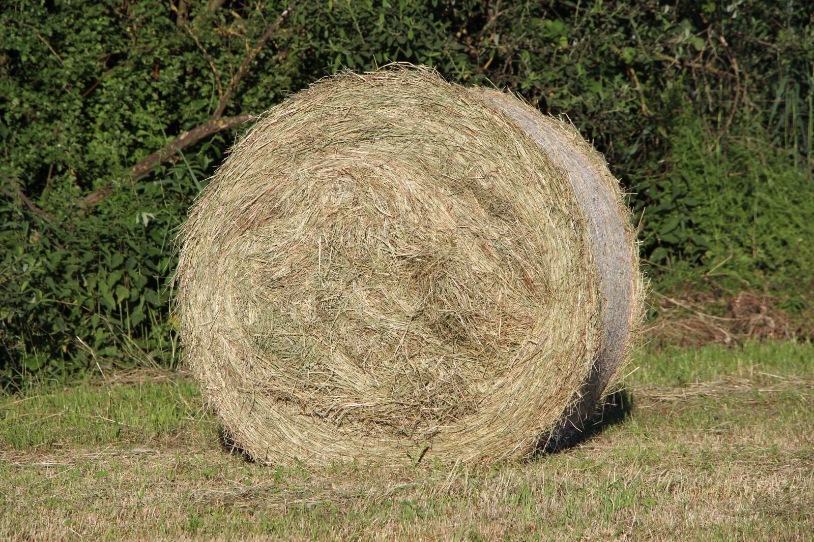 Canon EF-S 18-135mm F3.5-5.6 IS STM sample photo. Round bales, nature, hay photography