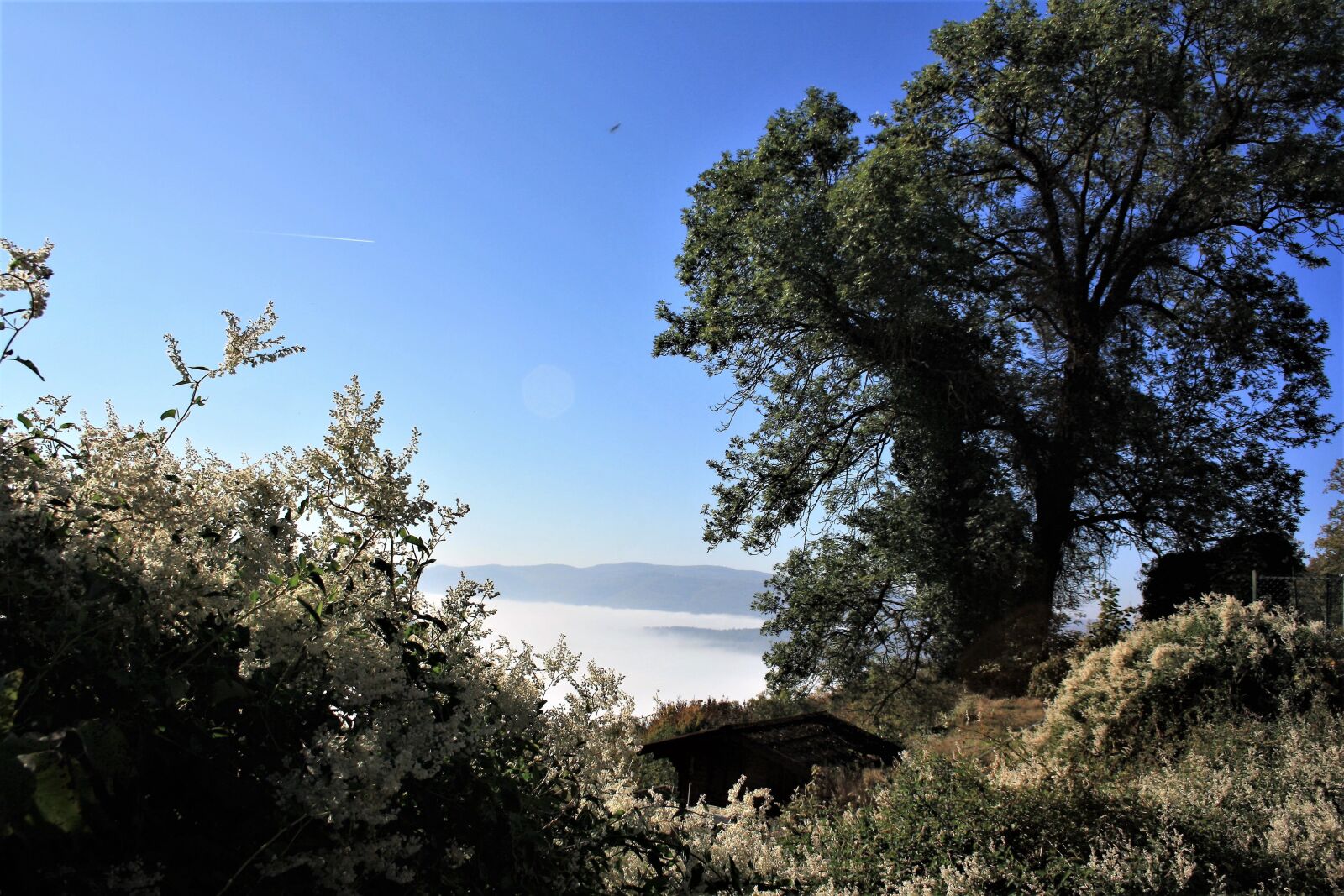 Canon EOS 1000D (EOS Digital Rebel XS / EOS Kiss F) sample photo. Landscape, sky, flowers photography